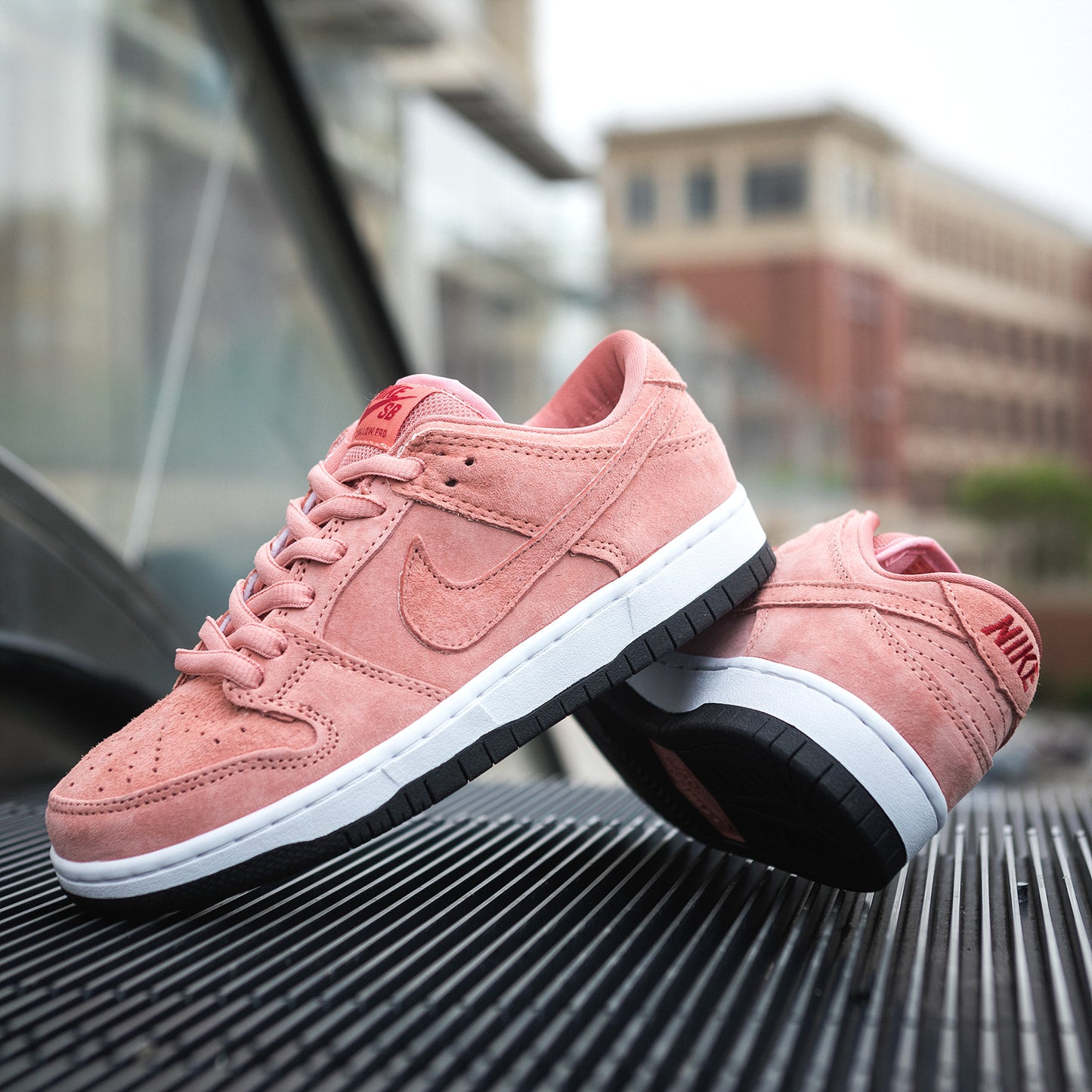 Nike Dunk Sb Low