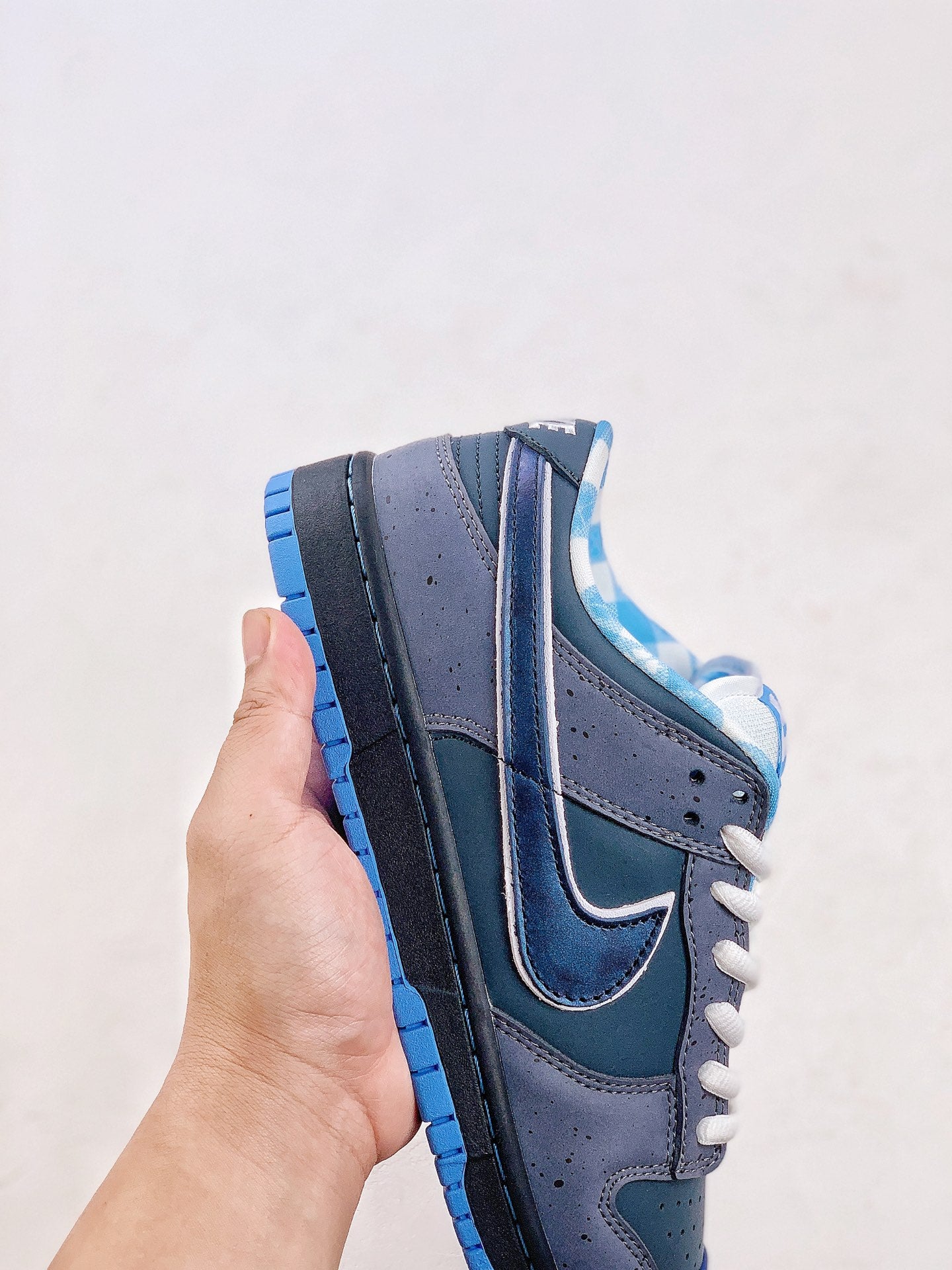 Concepts x Nike Dunk Low Pro SB