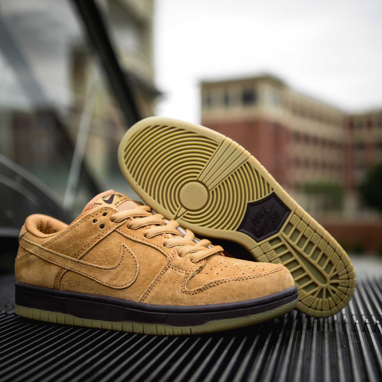 Nike Dunk Sb Low