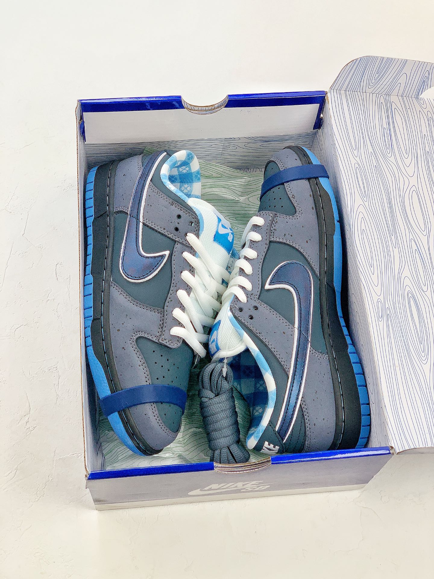 Concepts x Nike Dunk Low Pro SB