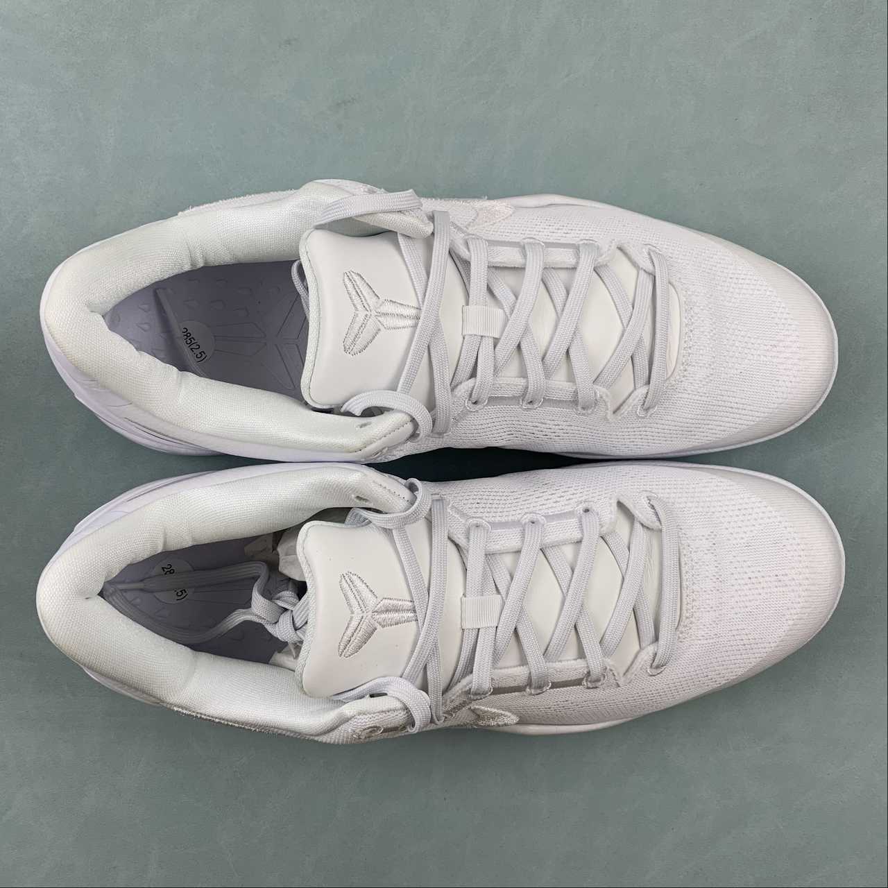 Nike Kobe 6 Protro