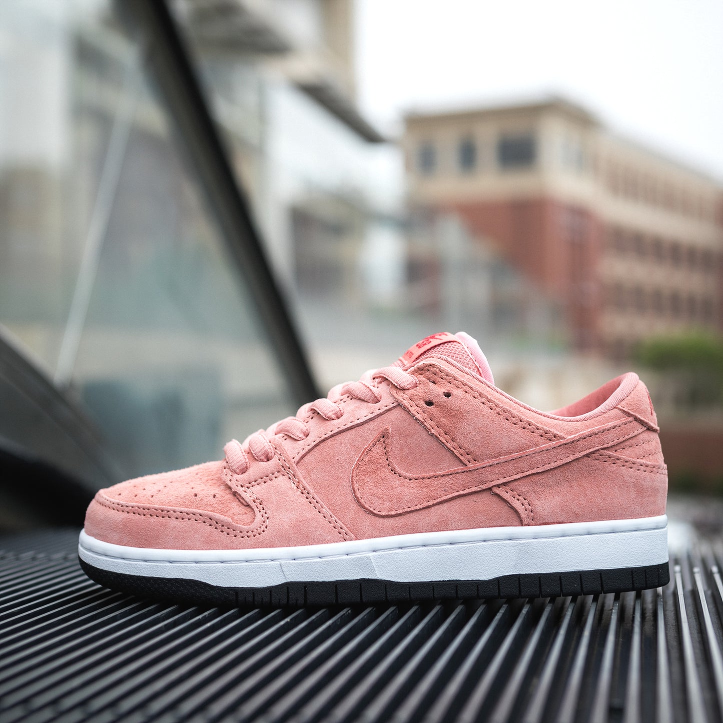 Nike Dunk Sb Low