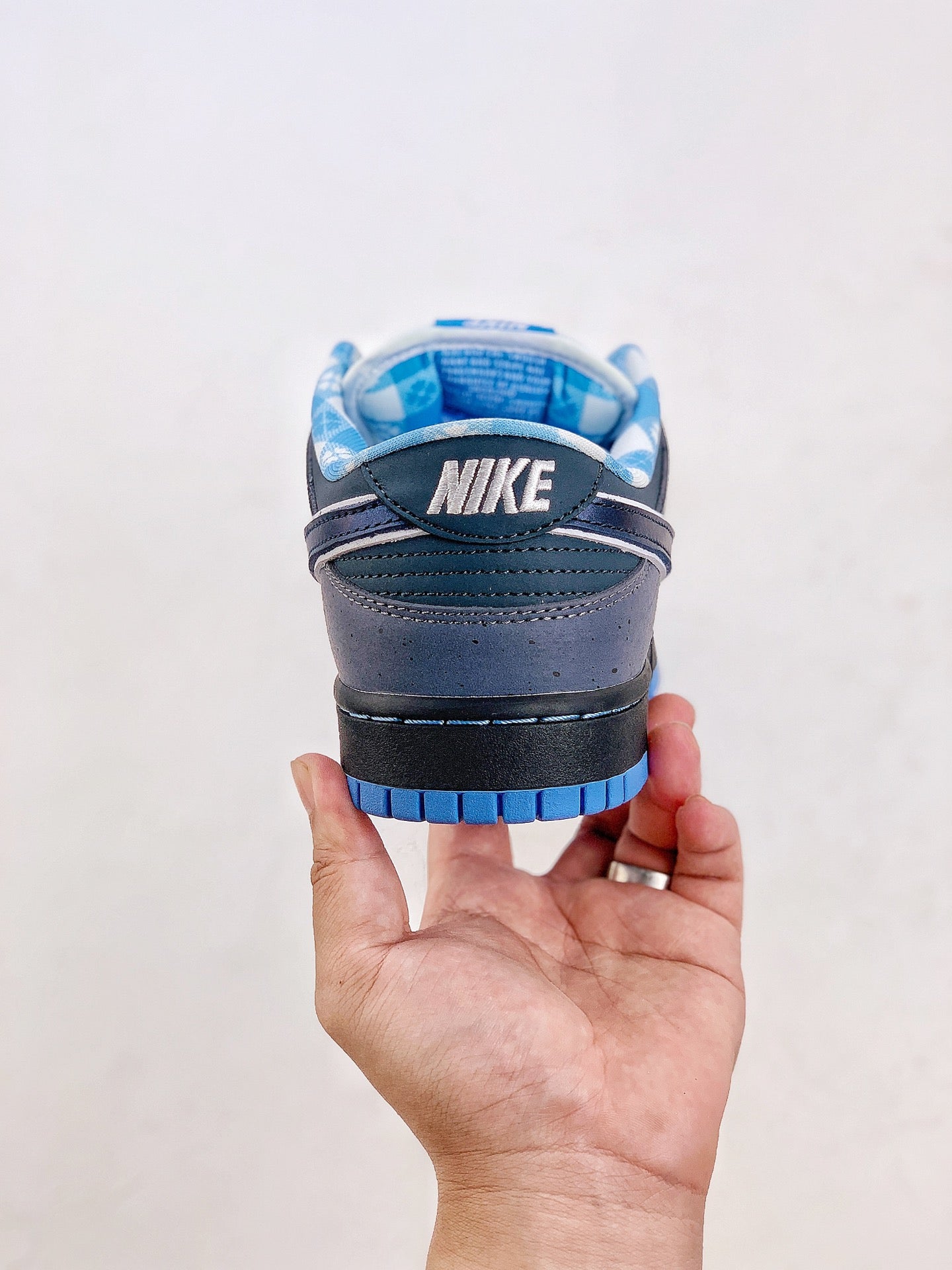 Concepts x Nike Dunk Low Pro SB