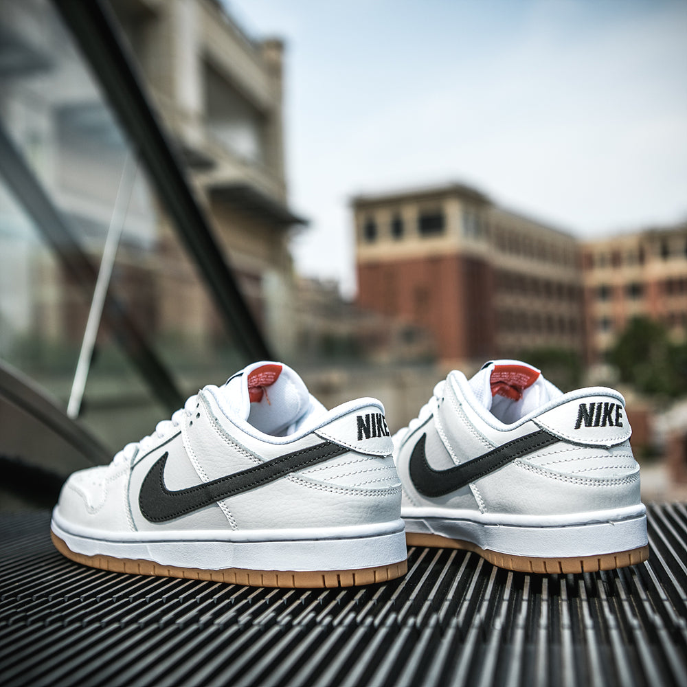 Nike Dunk Sb Low