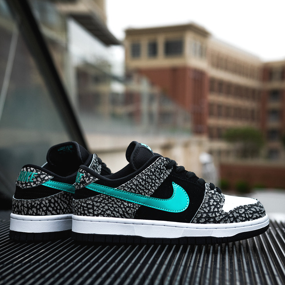 Nike Dunk Sb Low