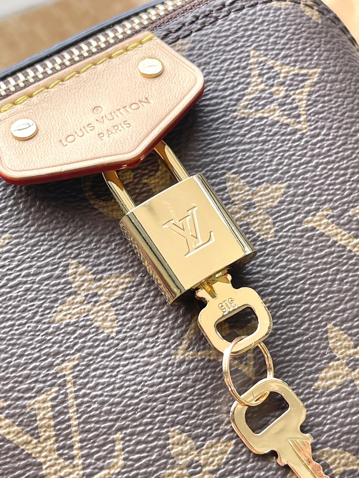 Bolsa Louis Vuitton