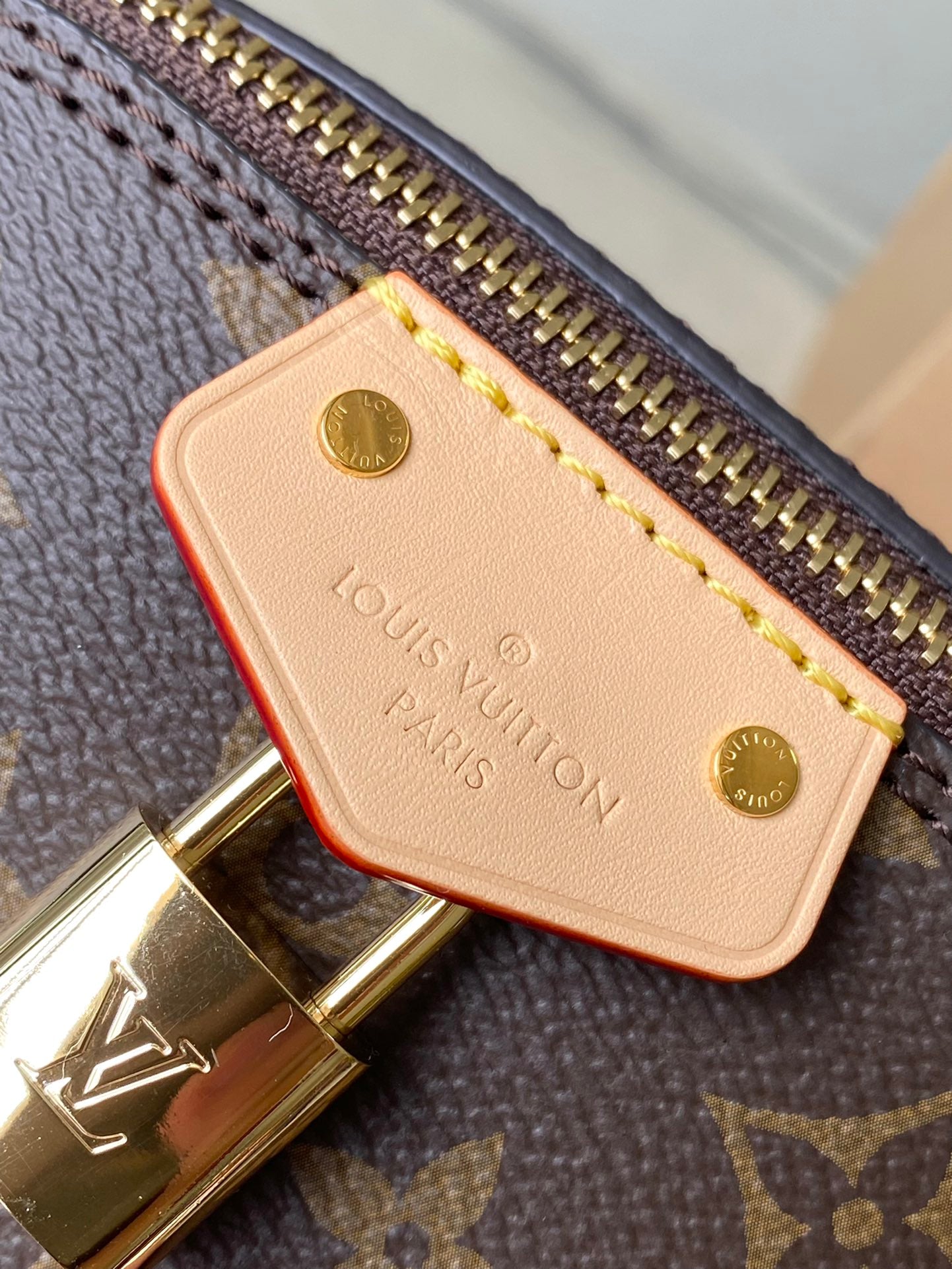 Bolsa Louis Vuitton