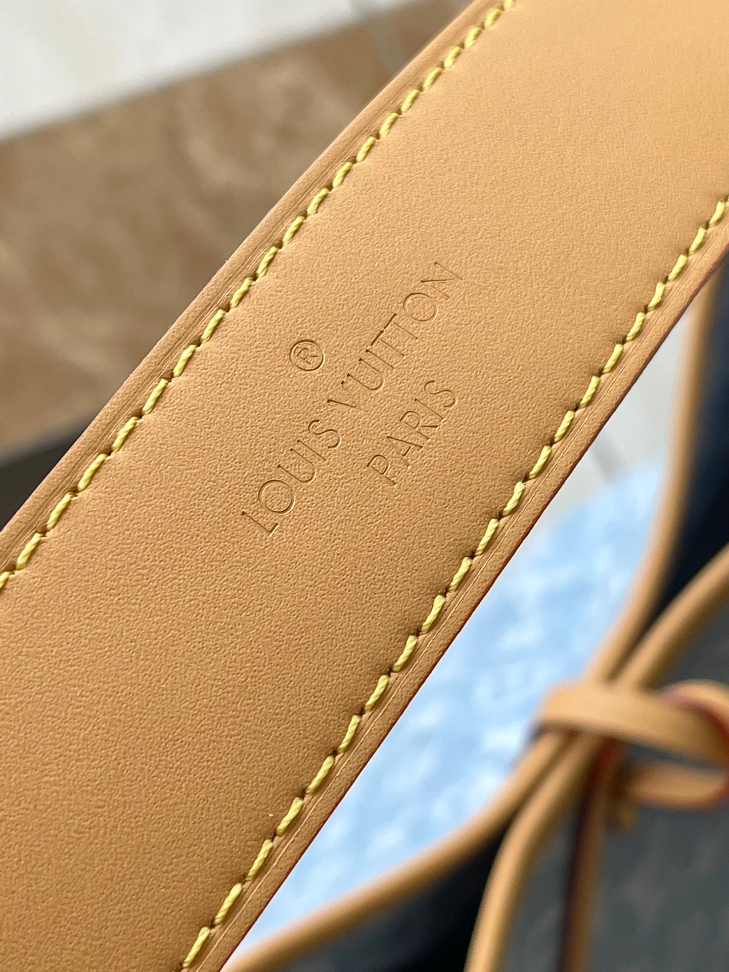 Bolsa Louis Vuitton