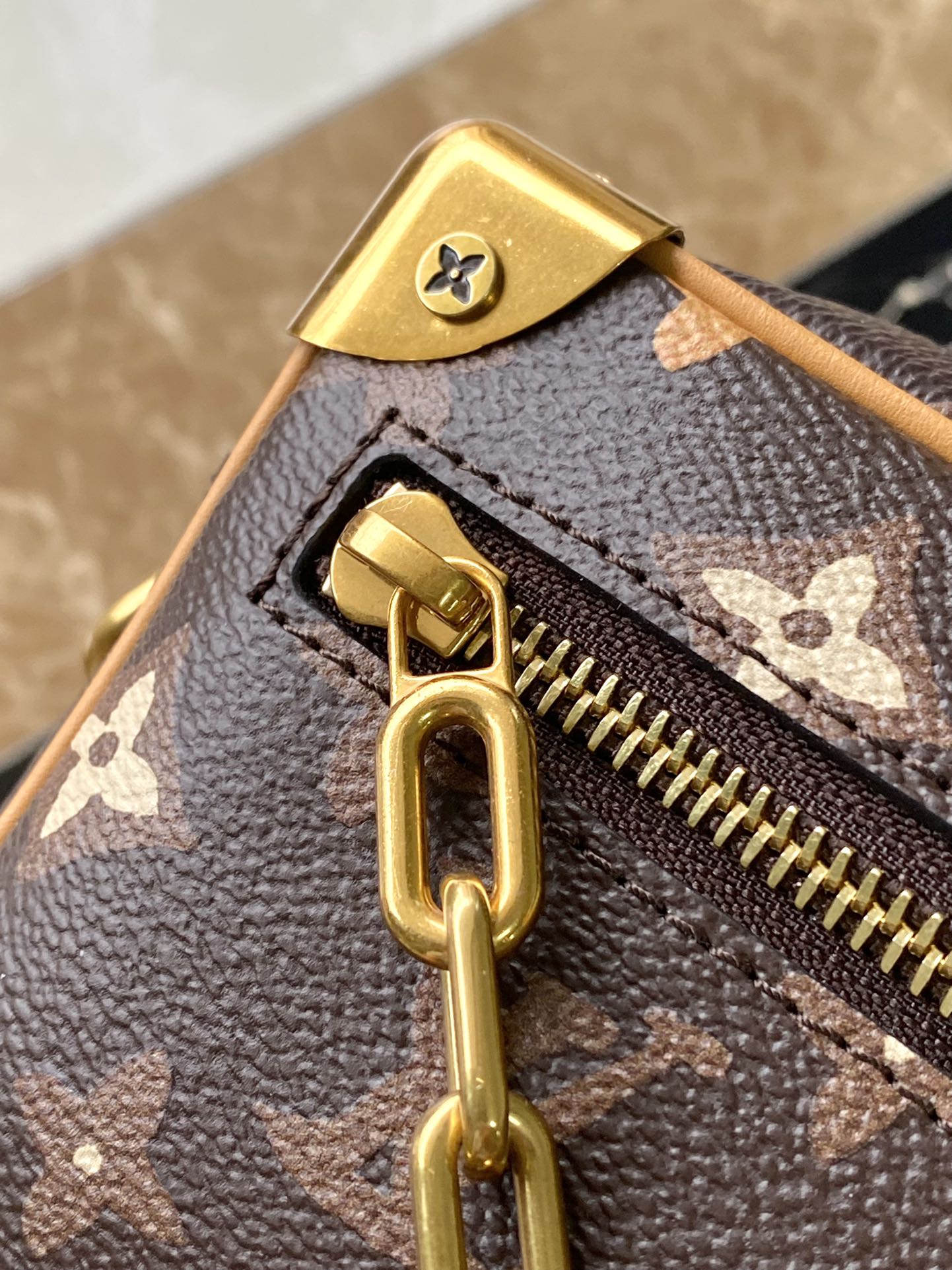 Bolsa Louis Vuitton