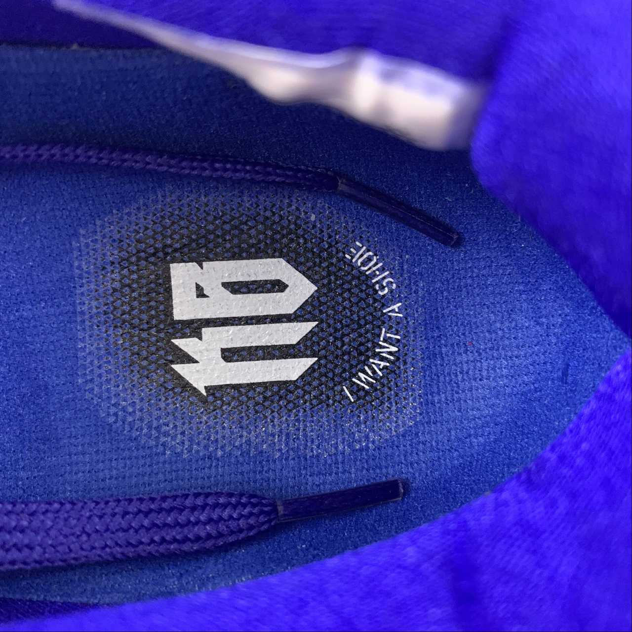 Nike Kobe 6 Protro