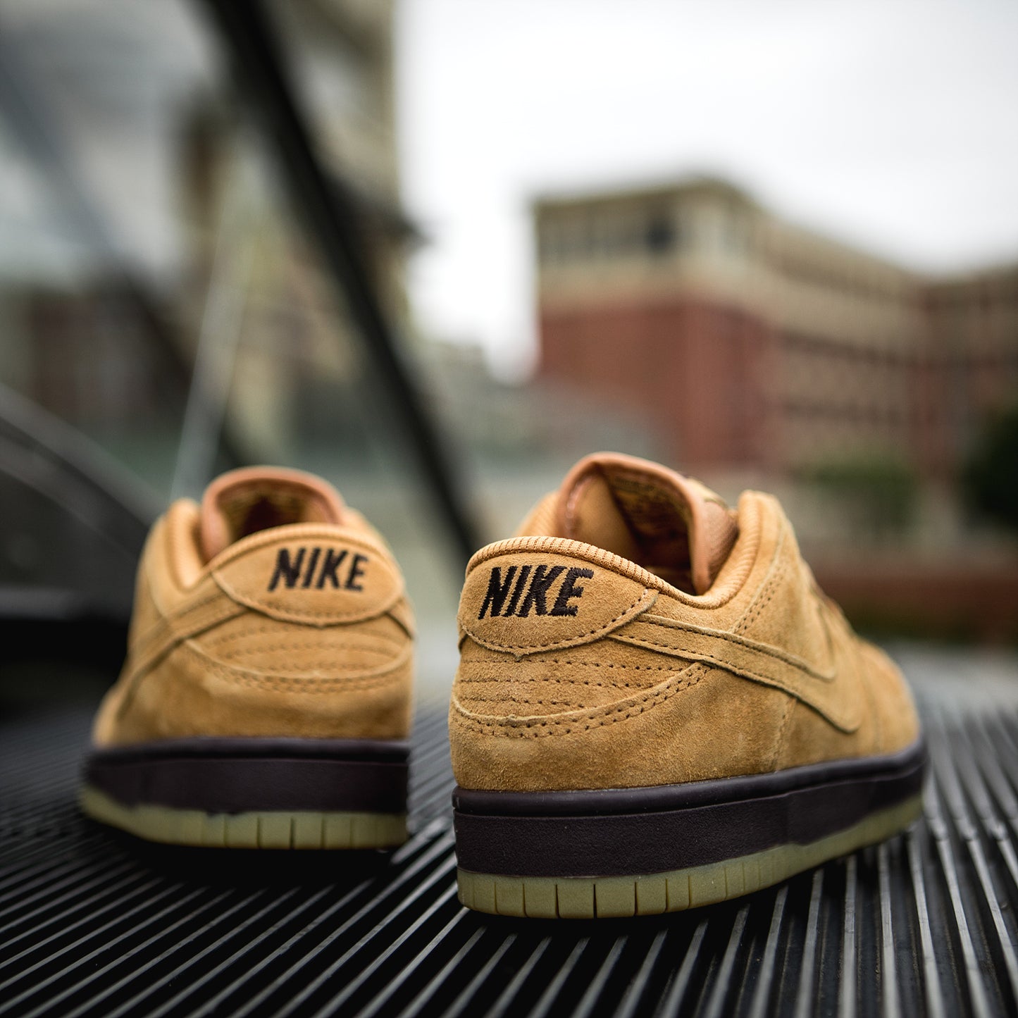 Nike Dunk Sb Low