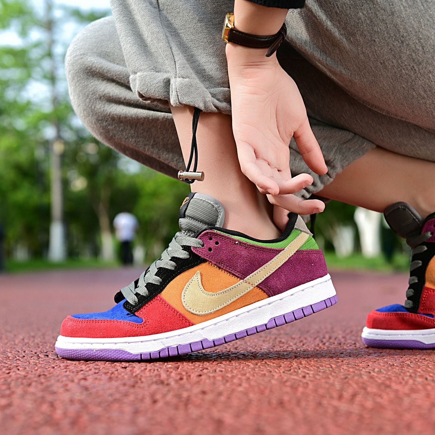 Nike Dunk Sb Low