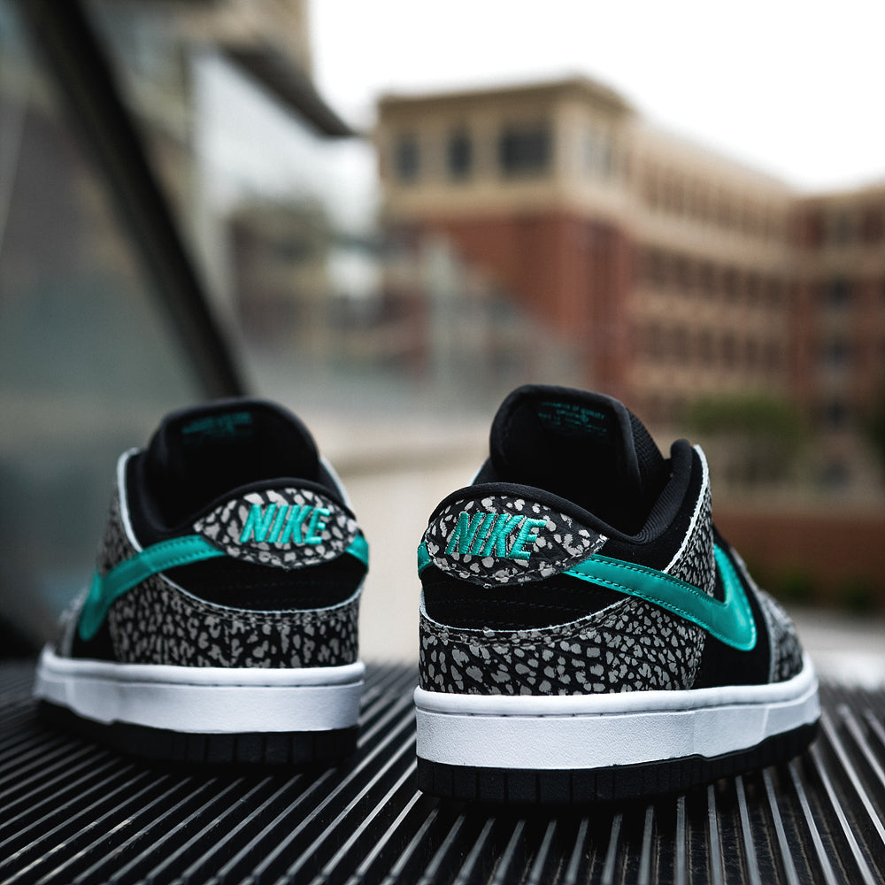 Nike Dunk Sb Low