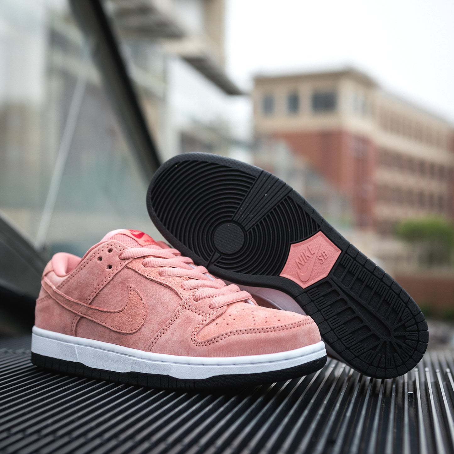 Nike Dunk Sb Low