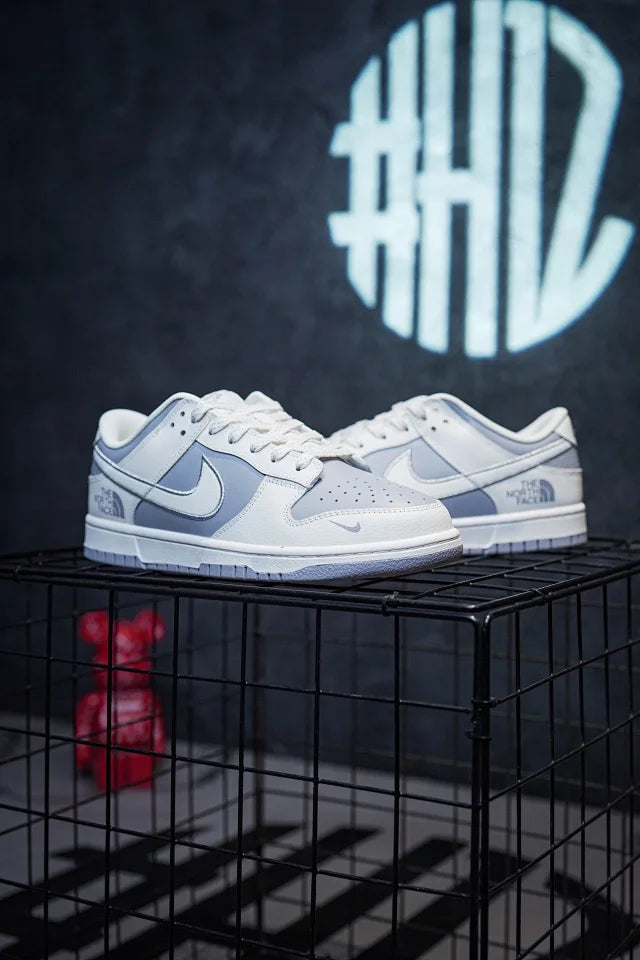 TNF x Nike Dunk Low Ice Silk Silver