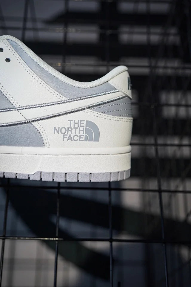 TNF x Nike Dunk Low Ice Silk Silver