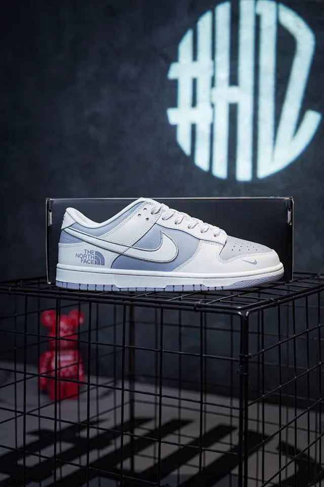 TNF x Nike Dunk Low Ice Silk Silver