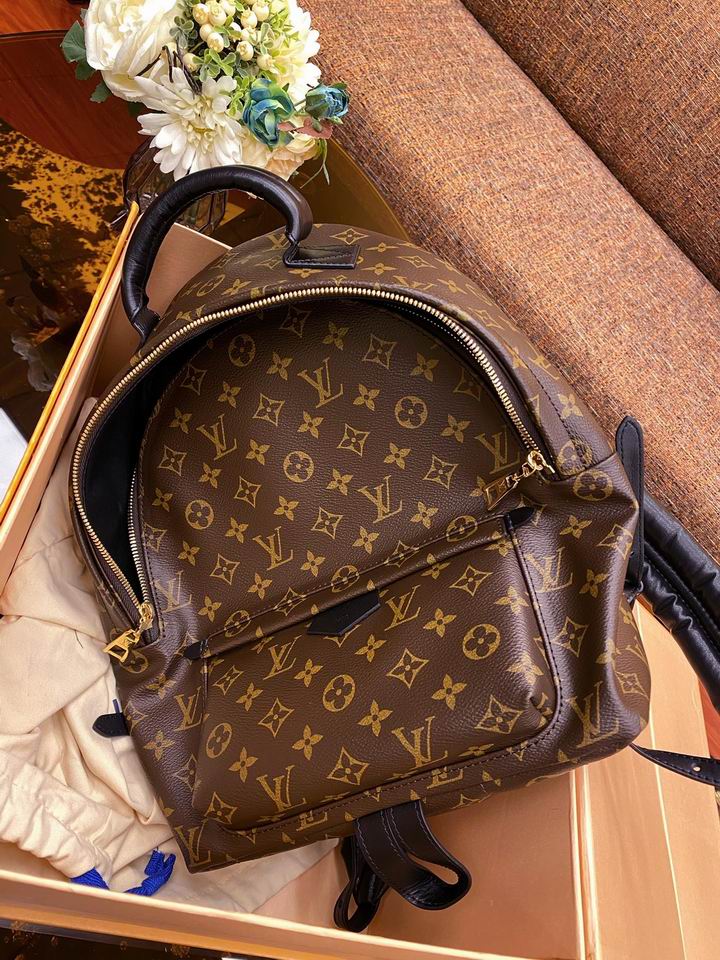 Mochila Louis Vuitton