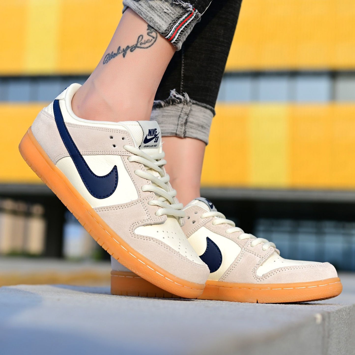 Nike Dunk Sb Low