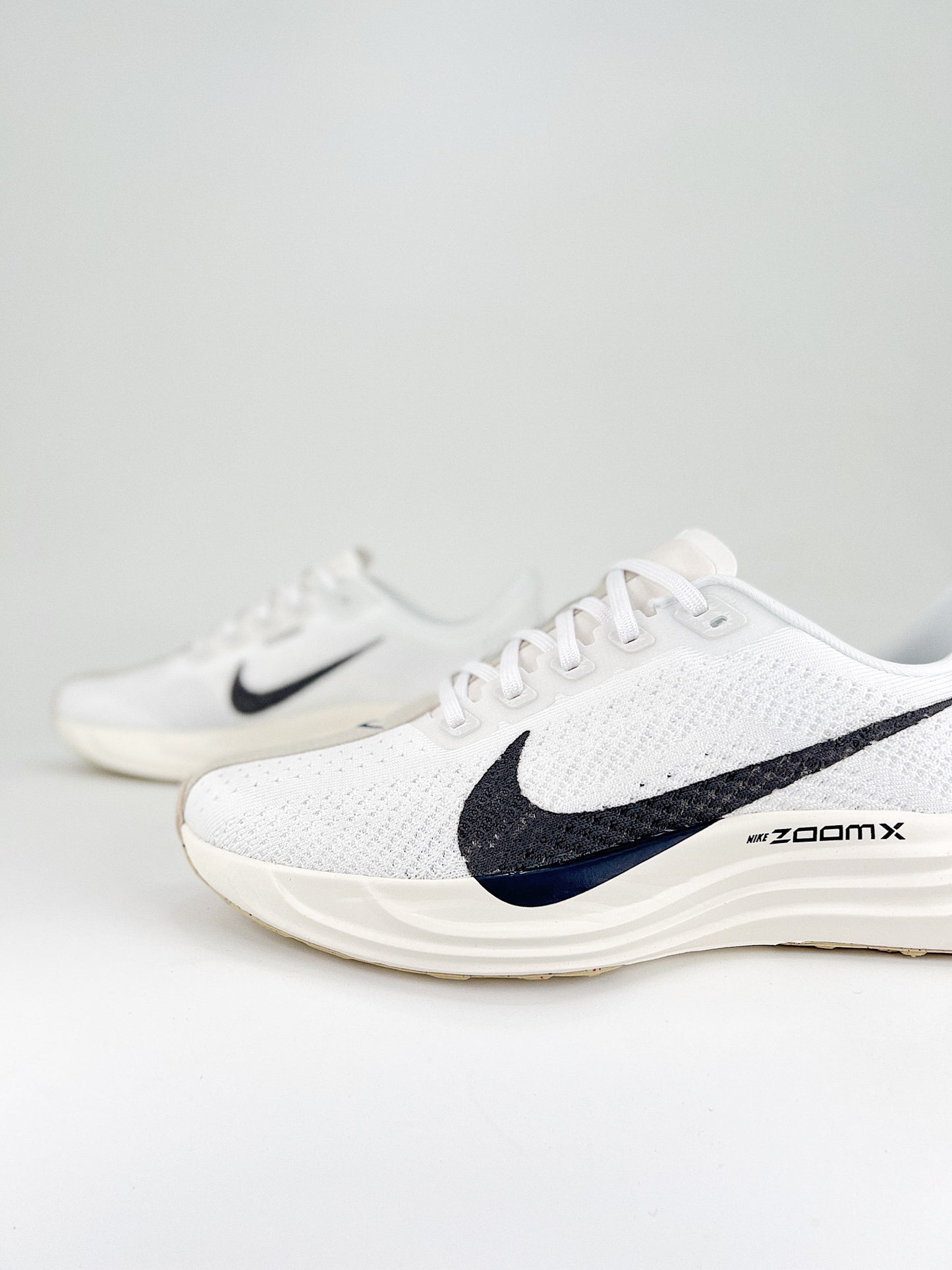 Nike Pegasus Plus