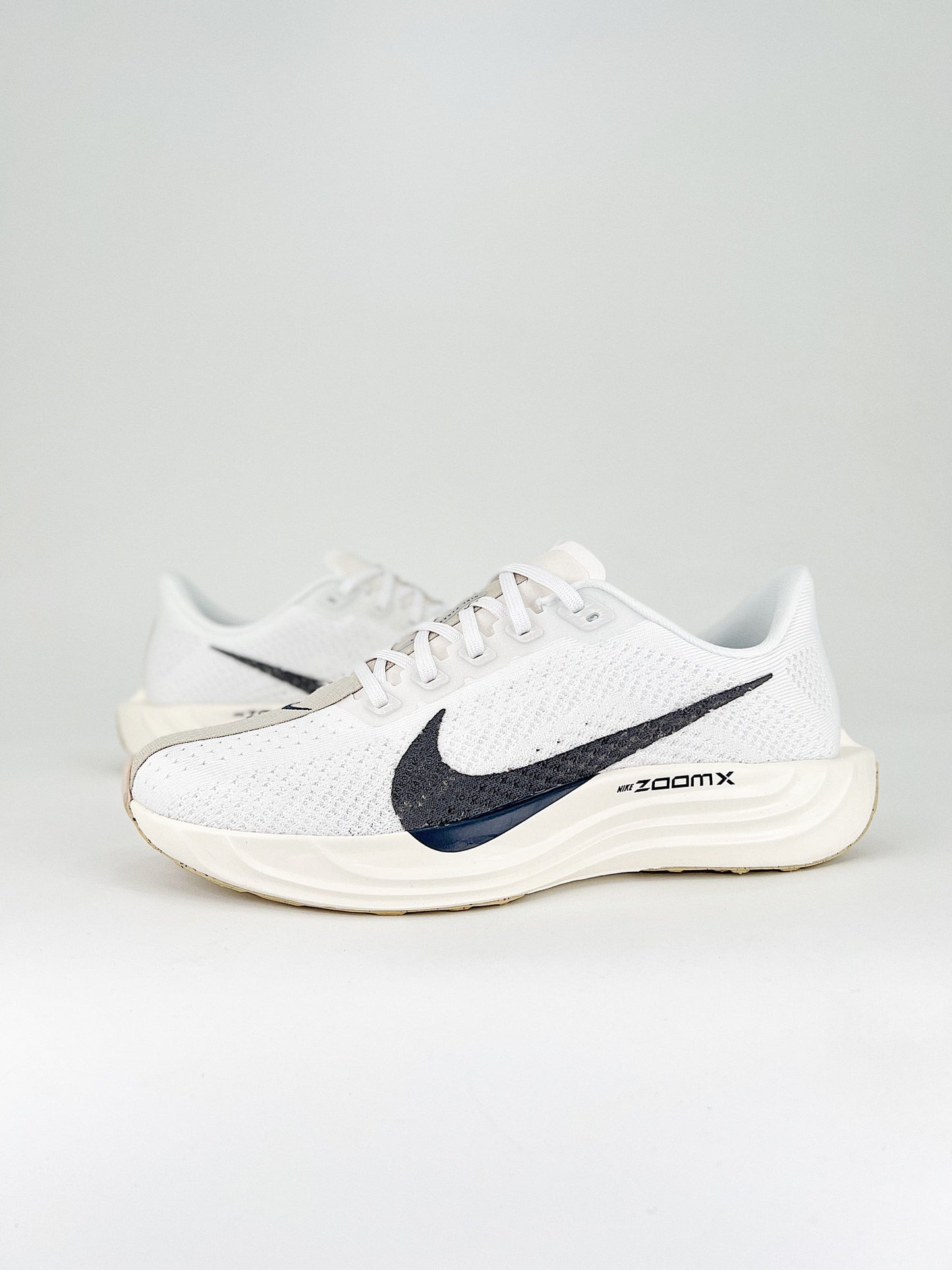 Nike Pegasus Plus