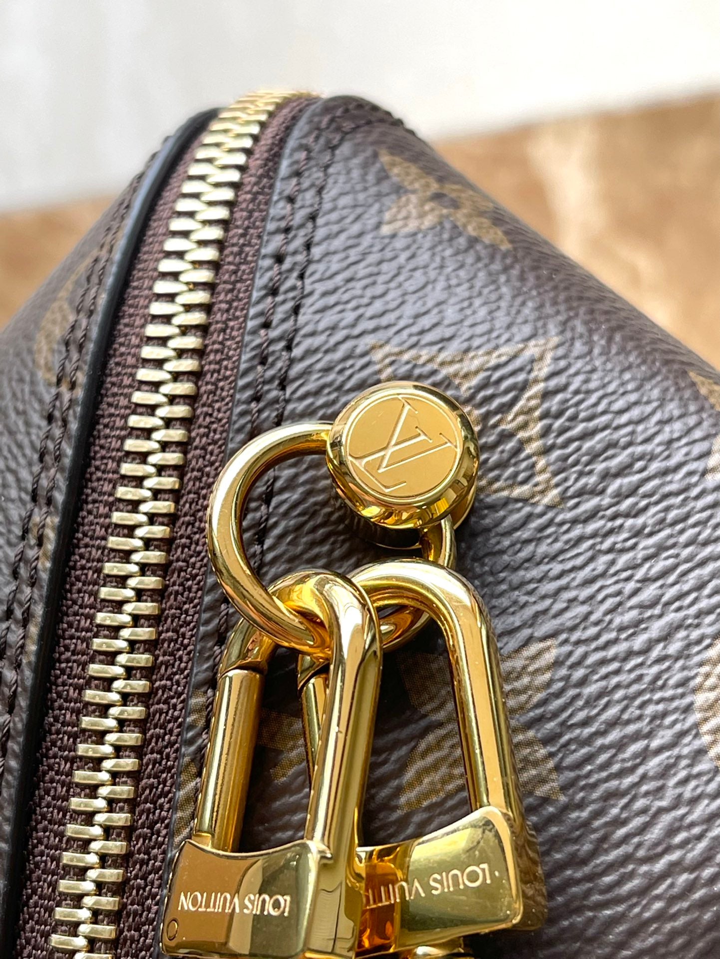 Bolsa Louis Vuitton