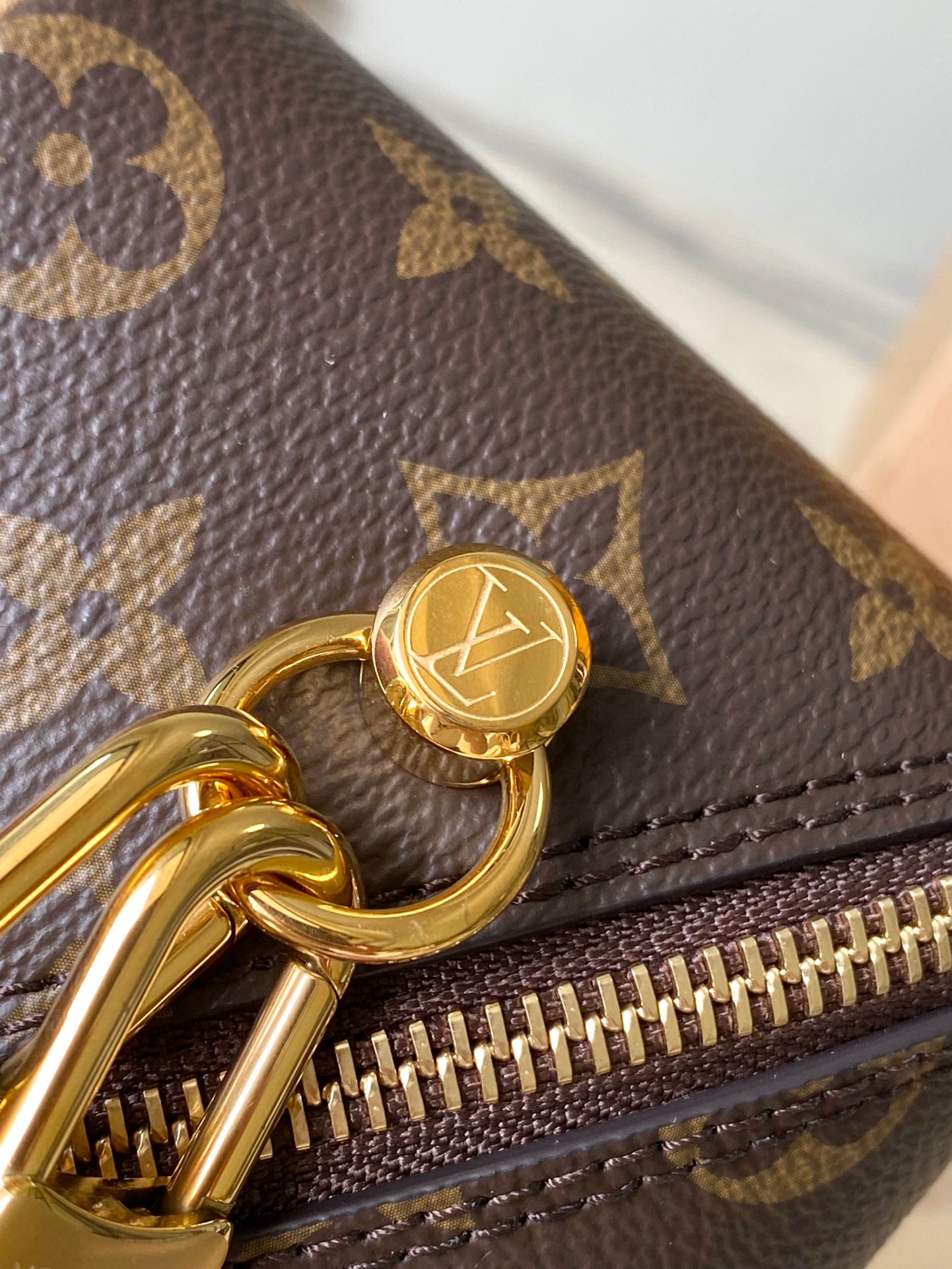 Bolsa Louis Vuitton