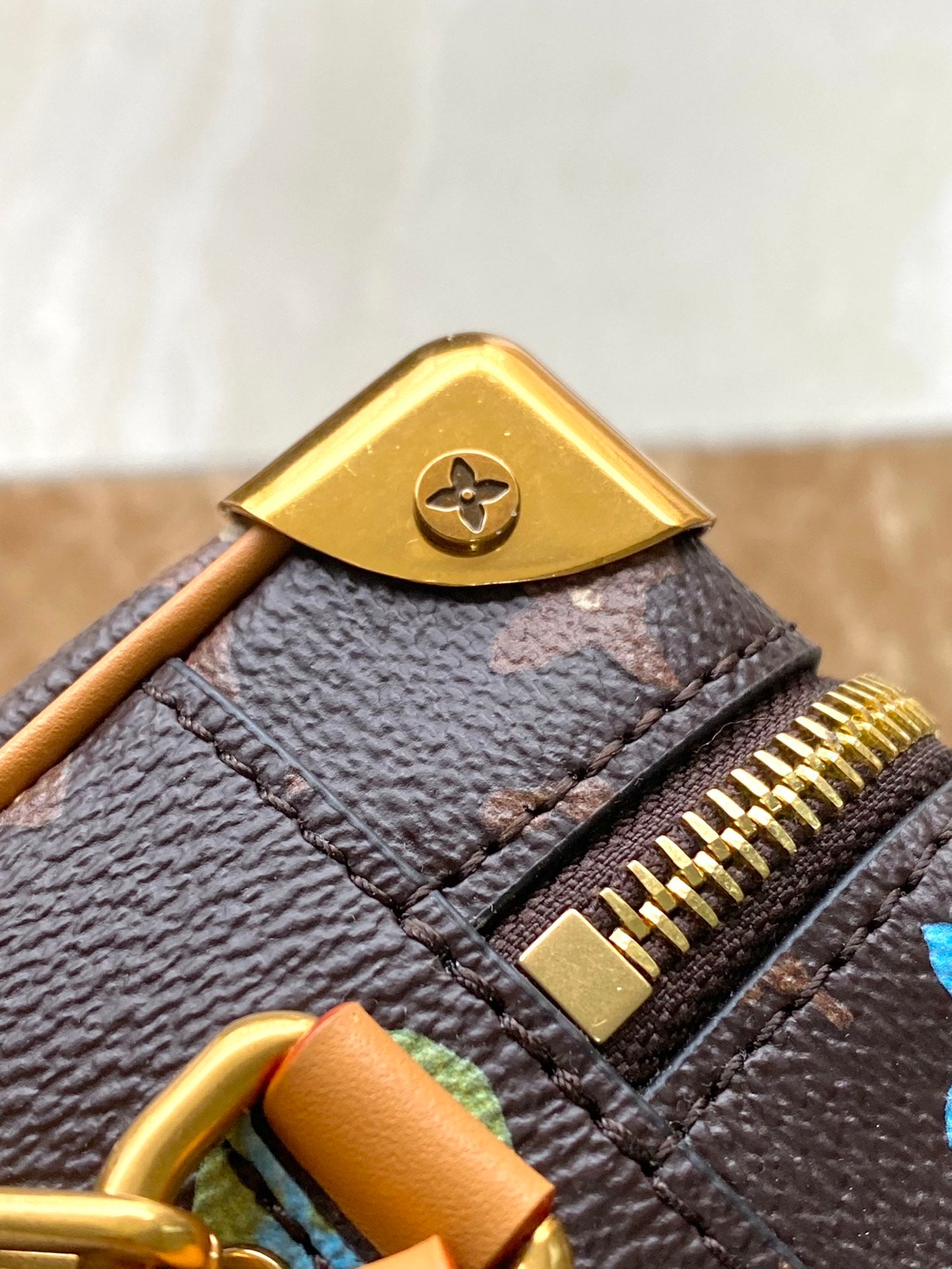 Bolsa Louis Vuitton