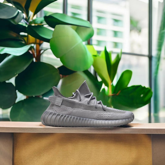 Adidas Yeezy Boost 350