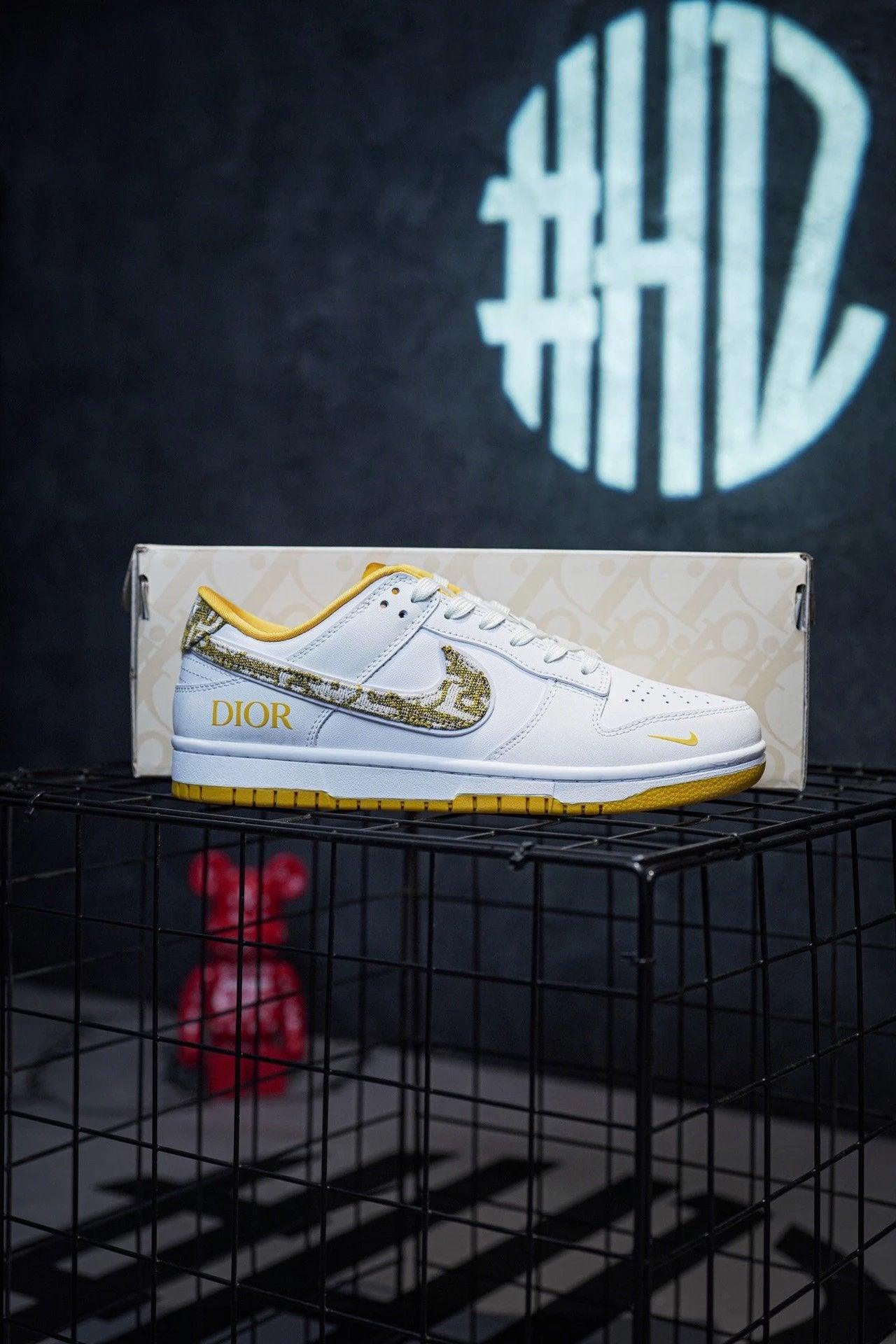 Dior x Nike Dunk Low