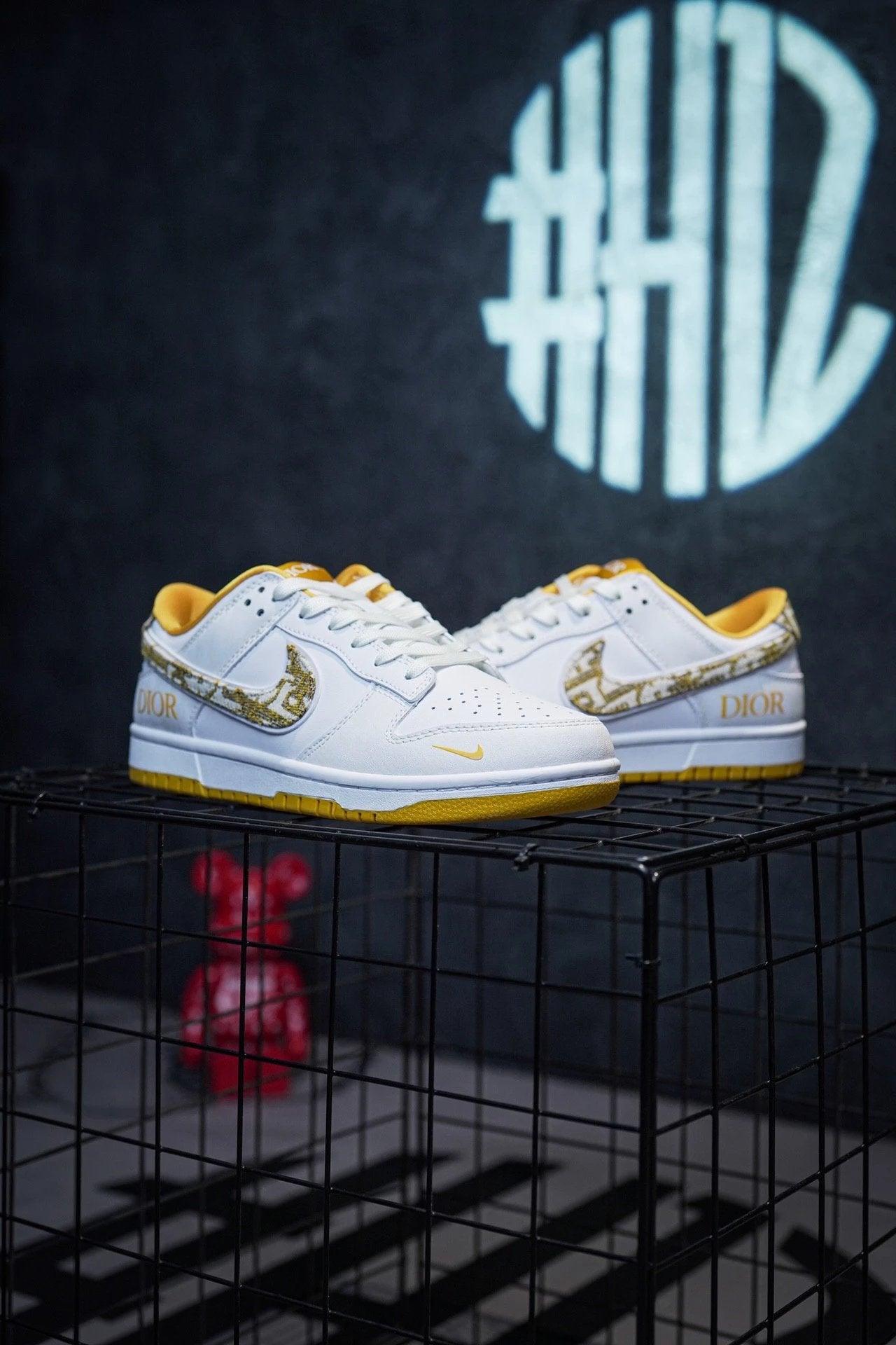 Dior x Nike Dunk Low