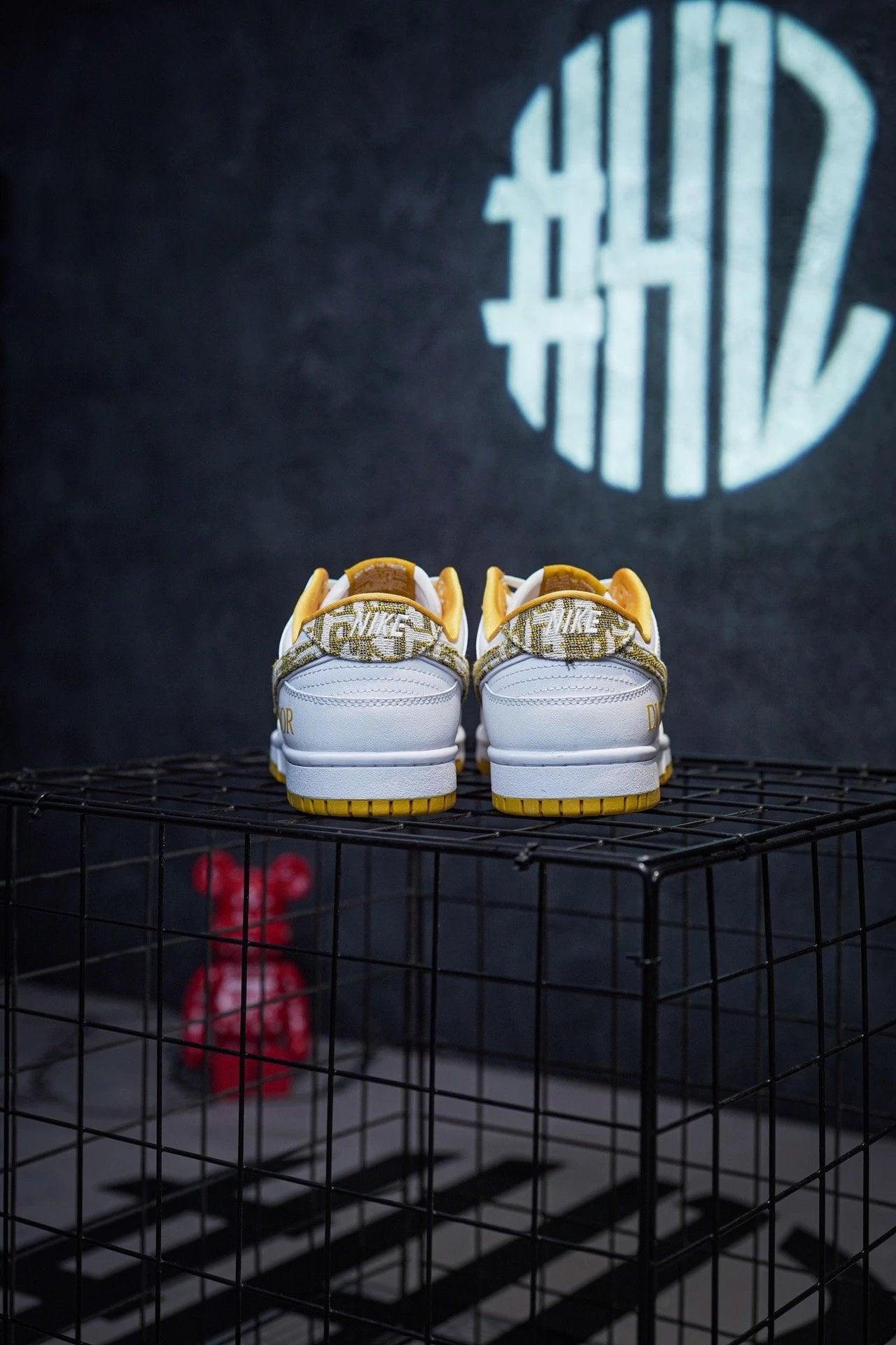 Dior x Nike Dunk Low