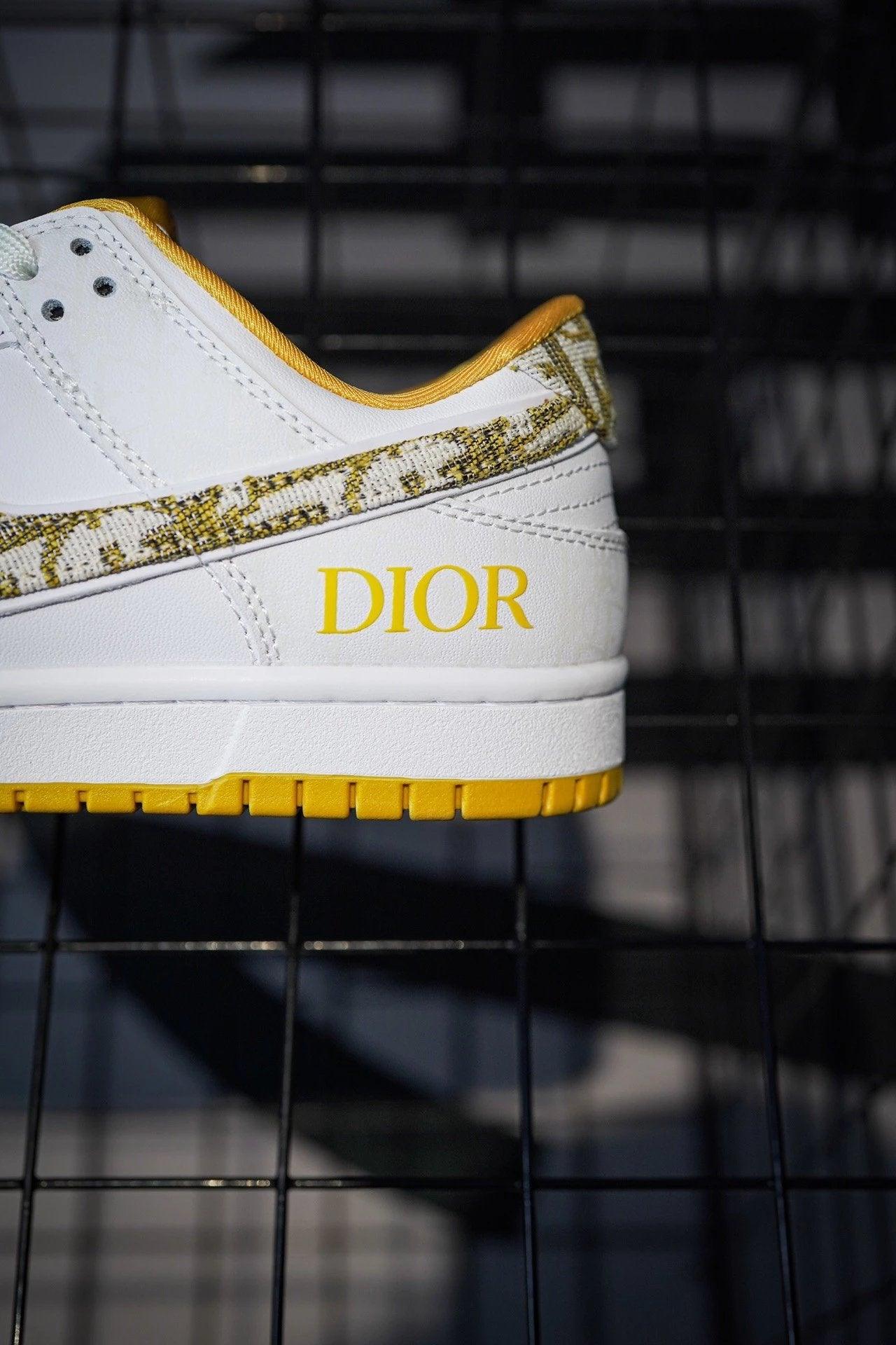 Dior x Nike Dunk Low