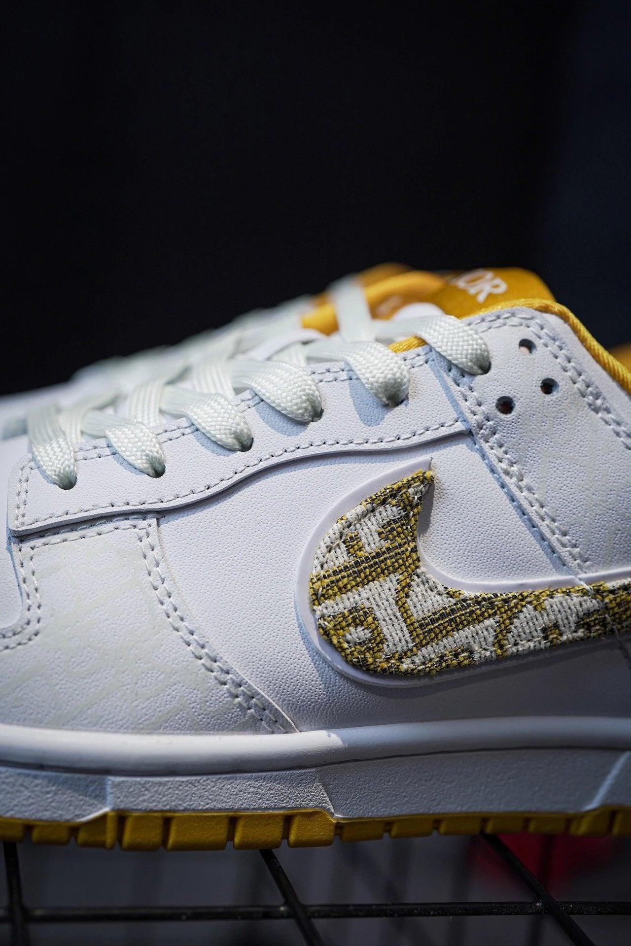 Dior x Nike Dunk Low
