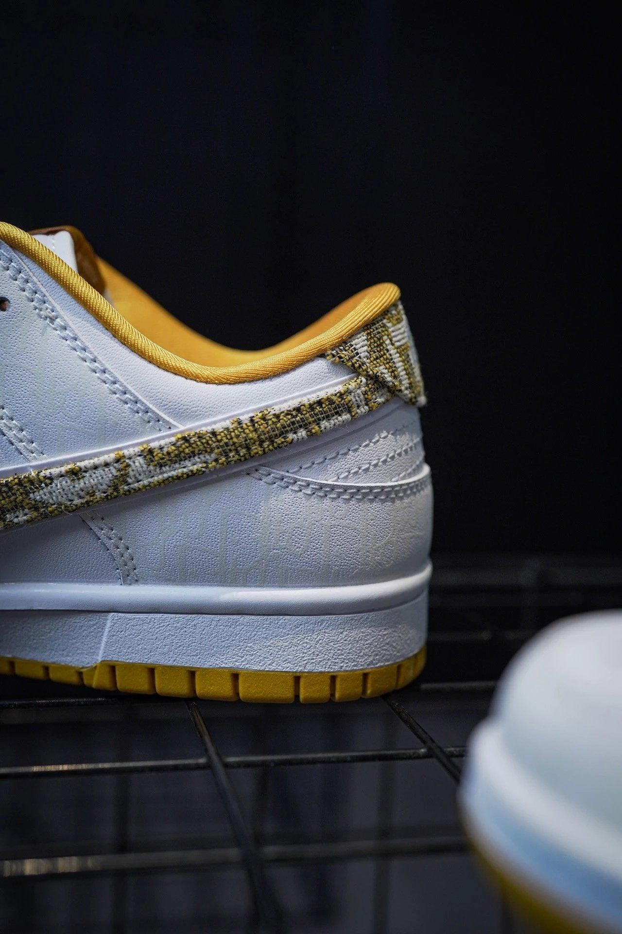 Dior x Nike Dunk Low